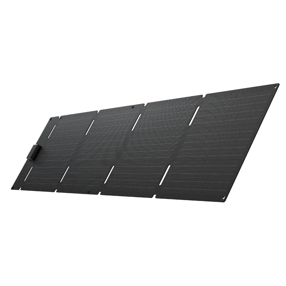 Ecoflow 60W Portable Solar Panel (Type-C)